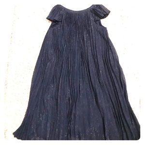 Gap Navy Pleated Dress